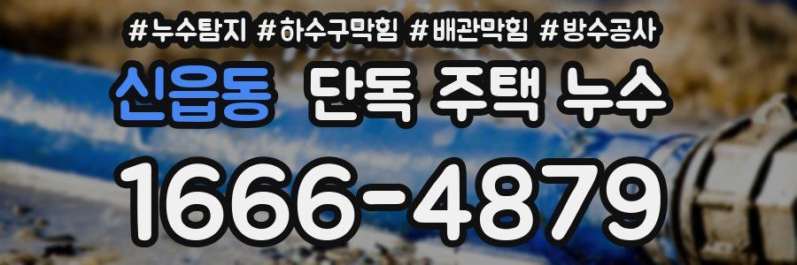 신읍동 단독 주택 누수