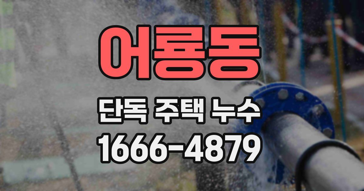 어룡동 단독 주택 누수