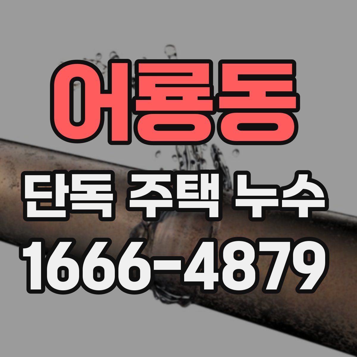 어룡동 단독 주택 누수