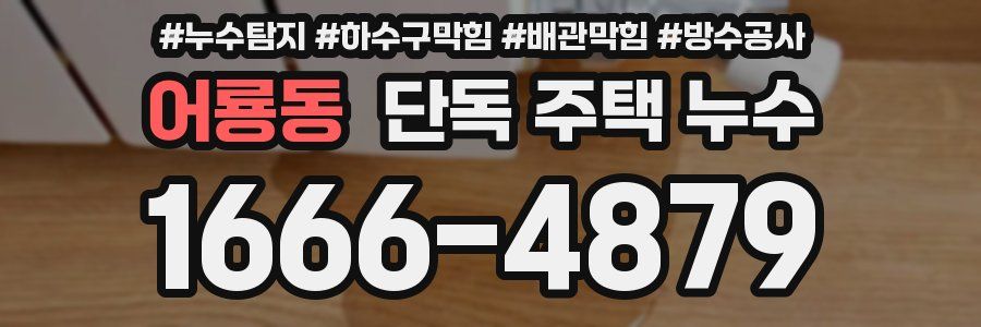 어룡동 단독 주택 누수