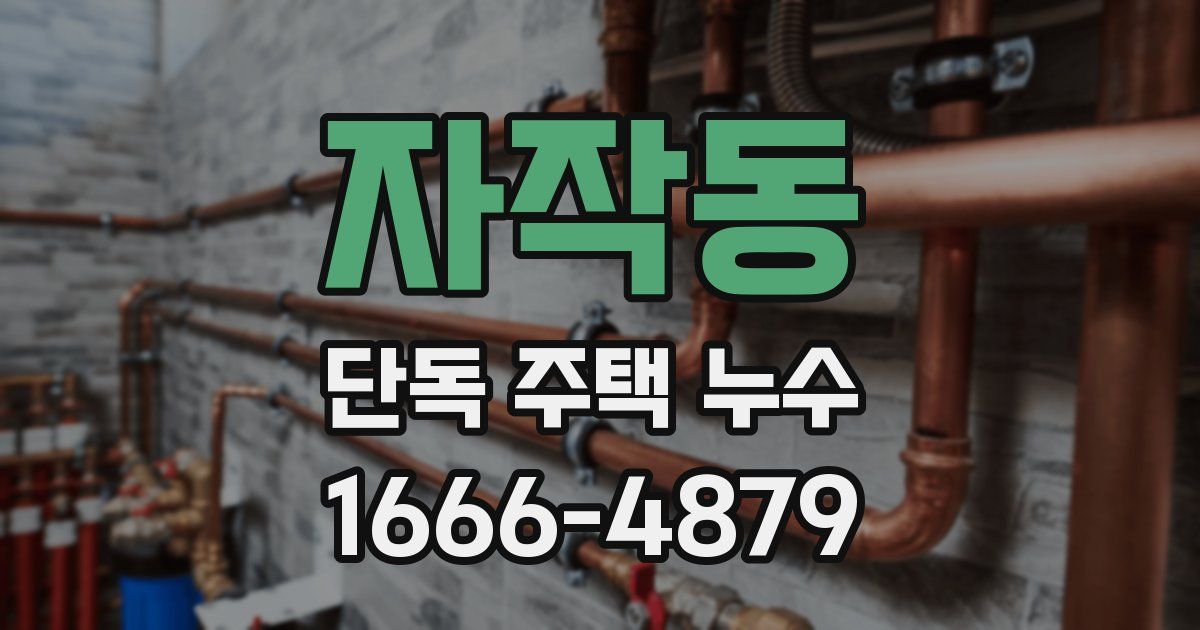 자작동 단독 주택 누수