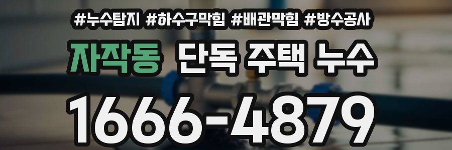 자작동 단독 주택 누수