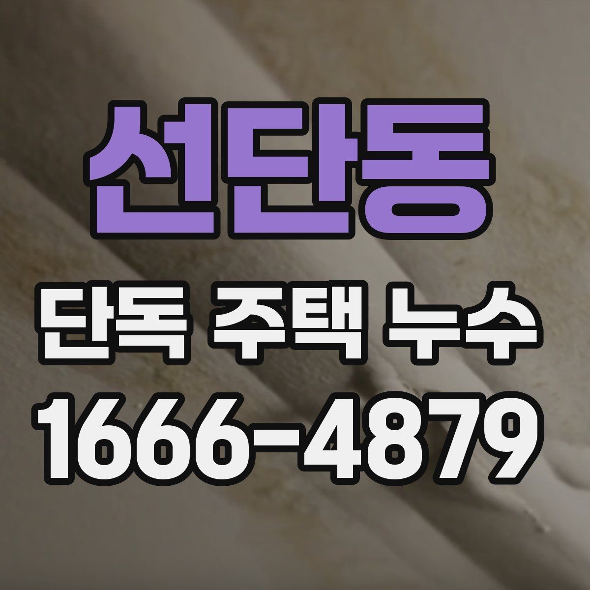 선단동 단독 주택 누수 주택 관리에서 놓치기 쉬운 부분