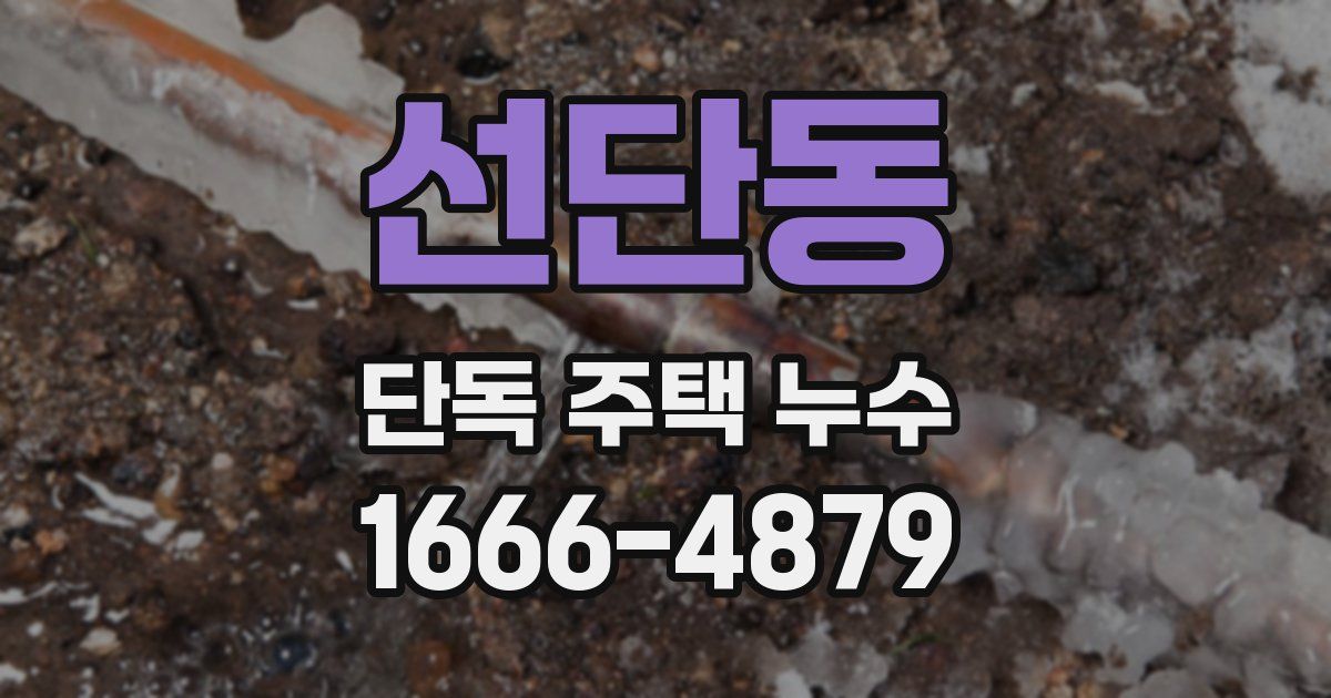 선단동 단독 주택 누수