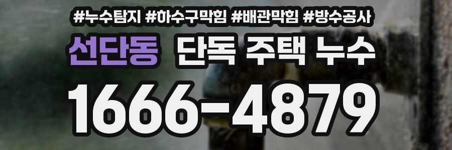 선단동 단독 주택 누수