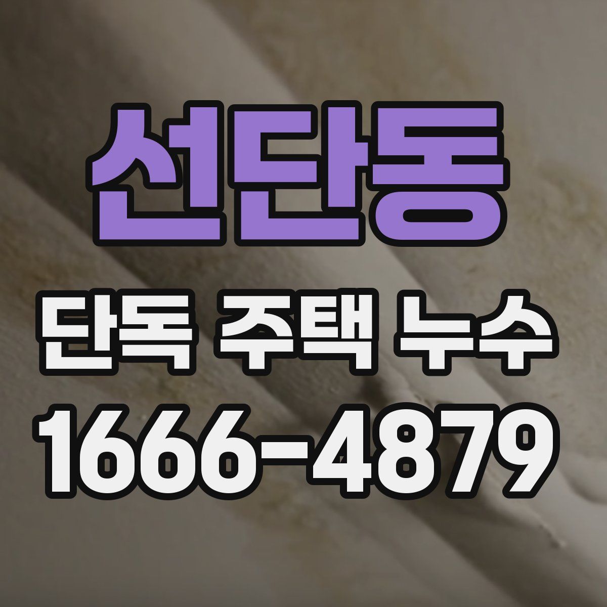 선단동 단독 주택 누수