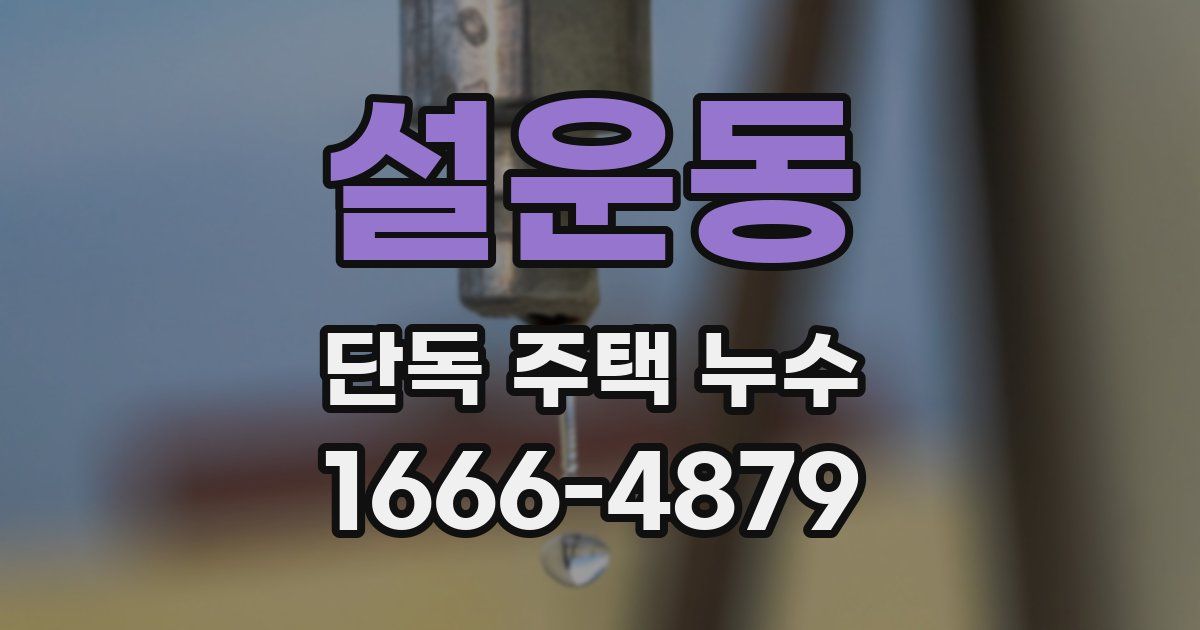 설운동 단독 주택 누수