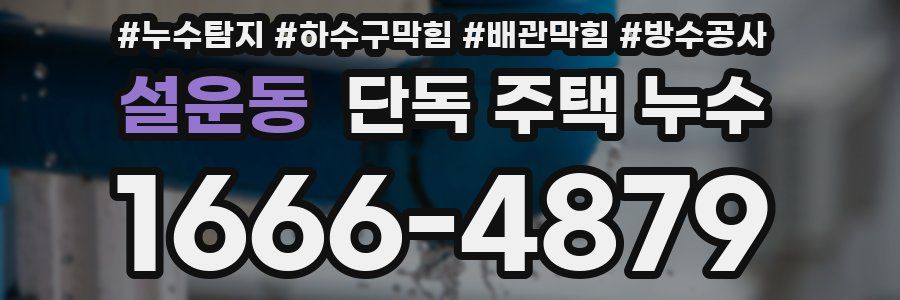 설운동 단독 주택 누수