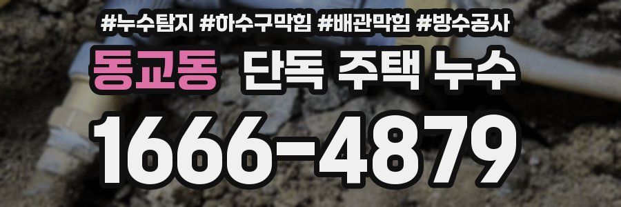 동교동 단독 주택 누수