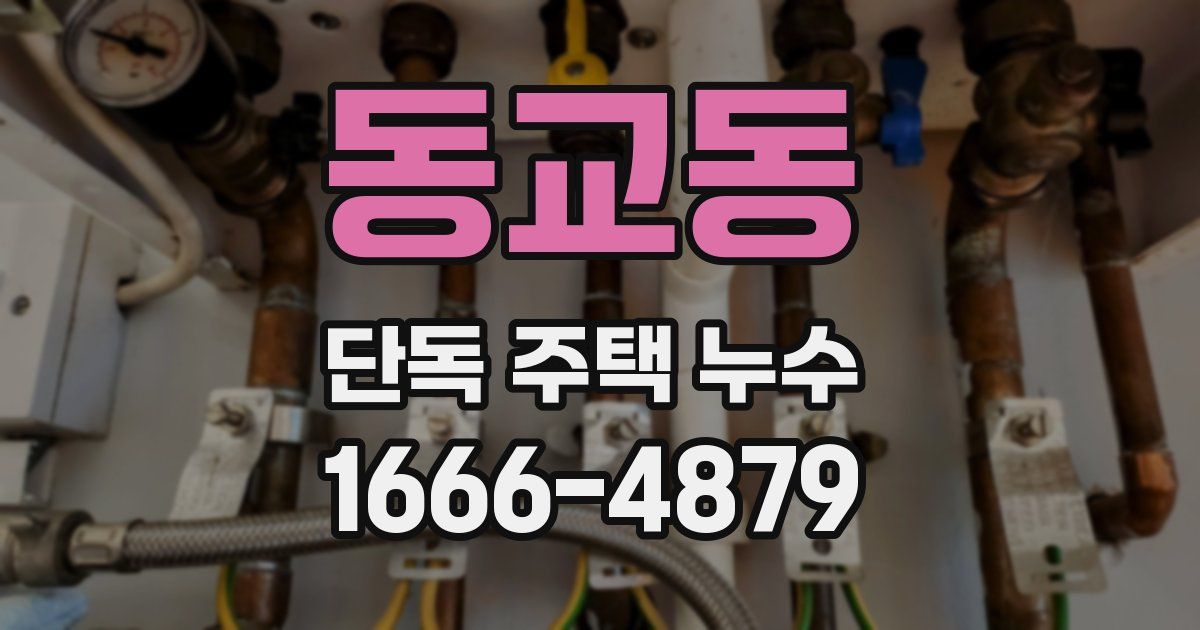 동교동 단독 주택 누수