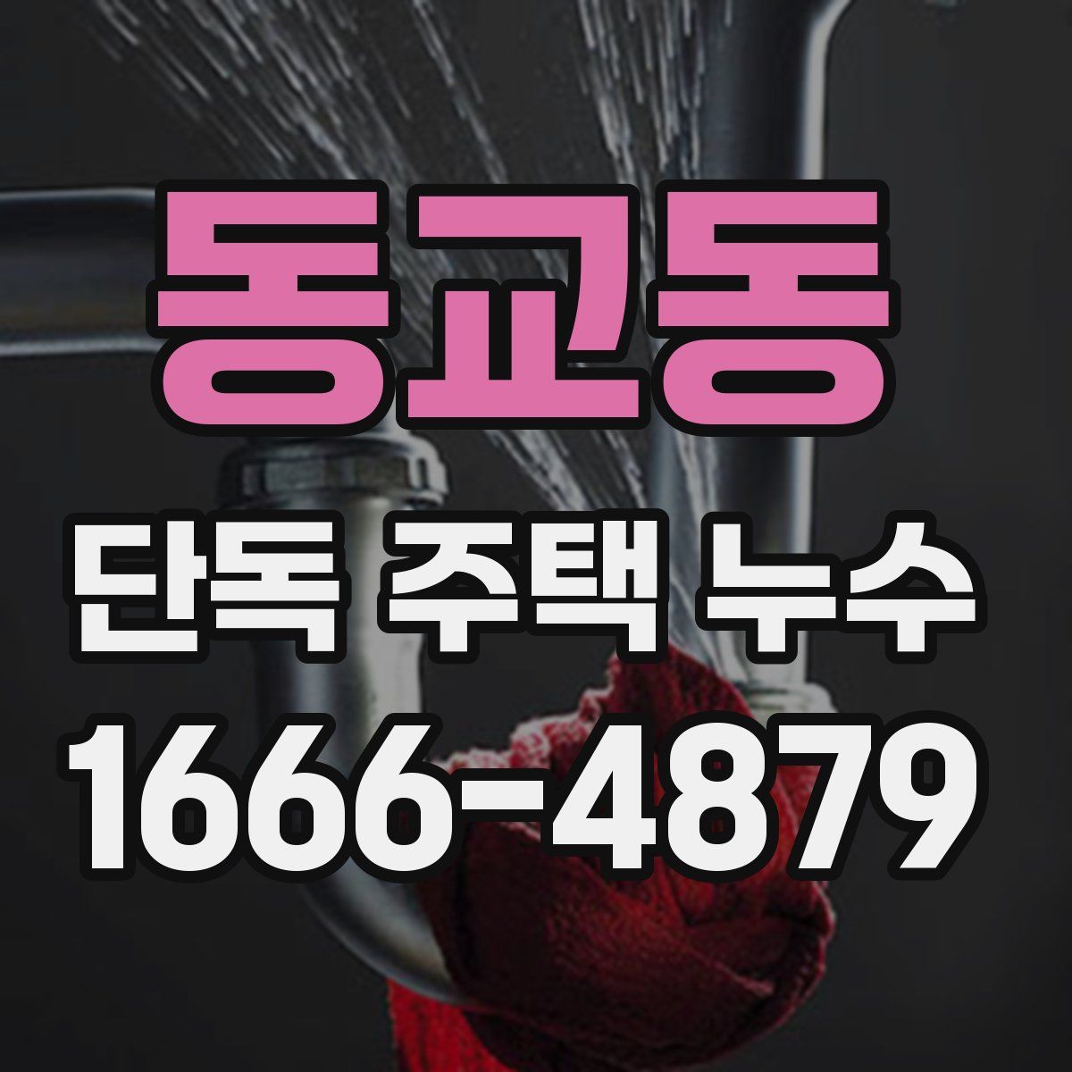 동교동 단독 주택 누수