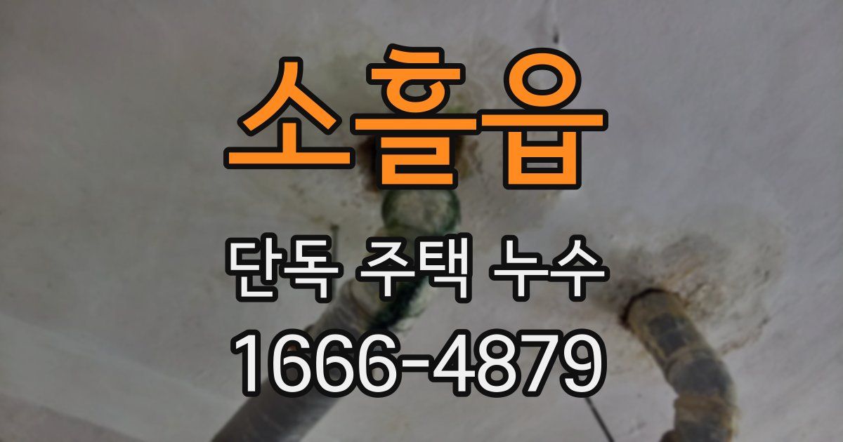 소흘읍 단독 주택 누수