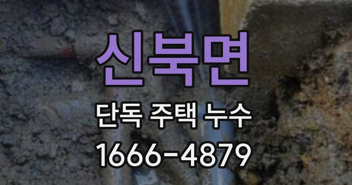신북면 단독 주택 누수