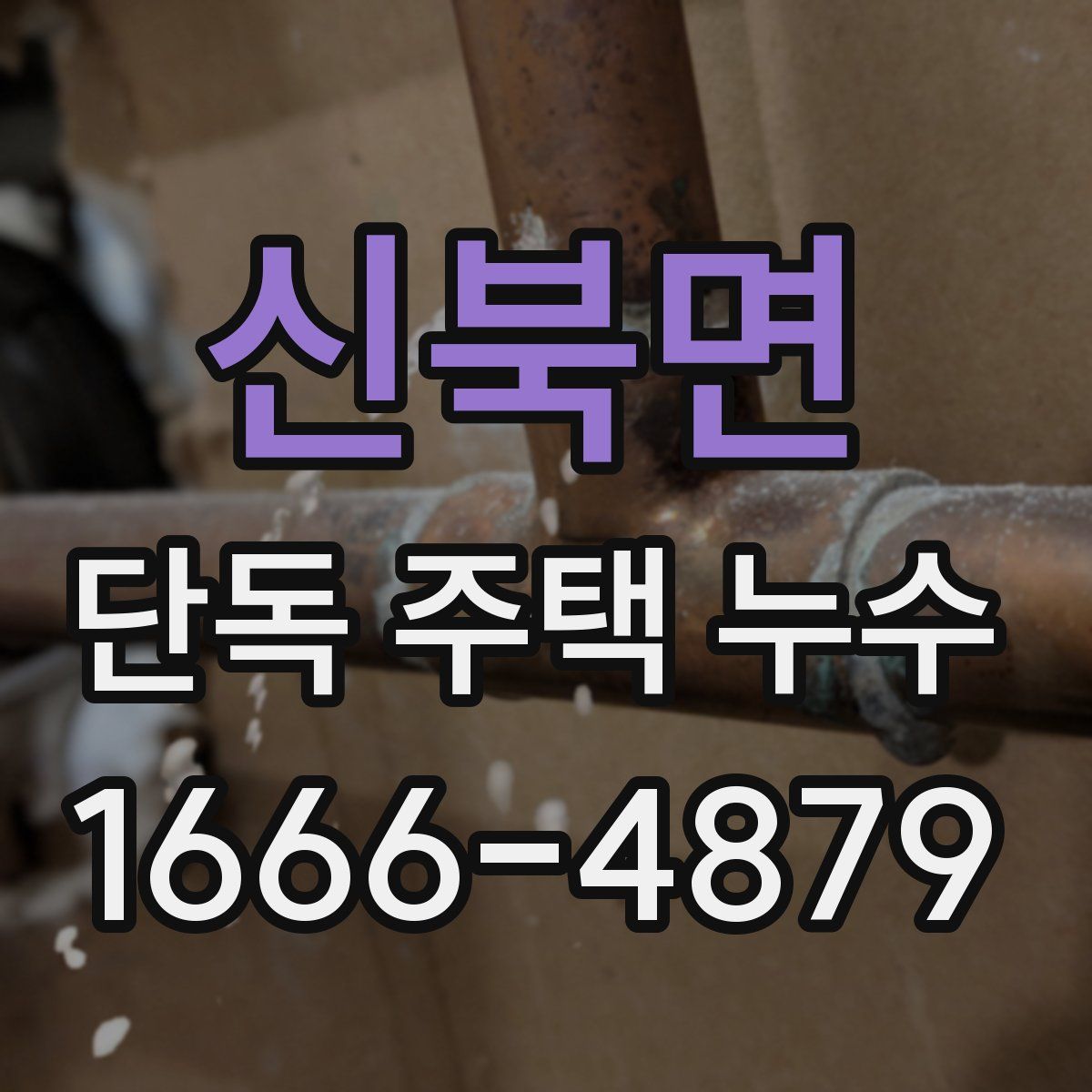 신북면 단독 주택 누수