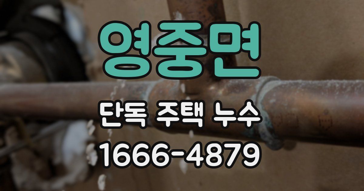 영중면 단독 주택 누수