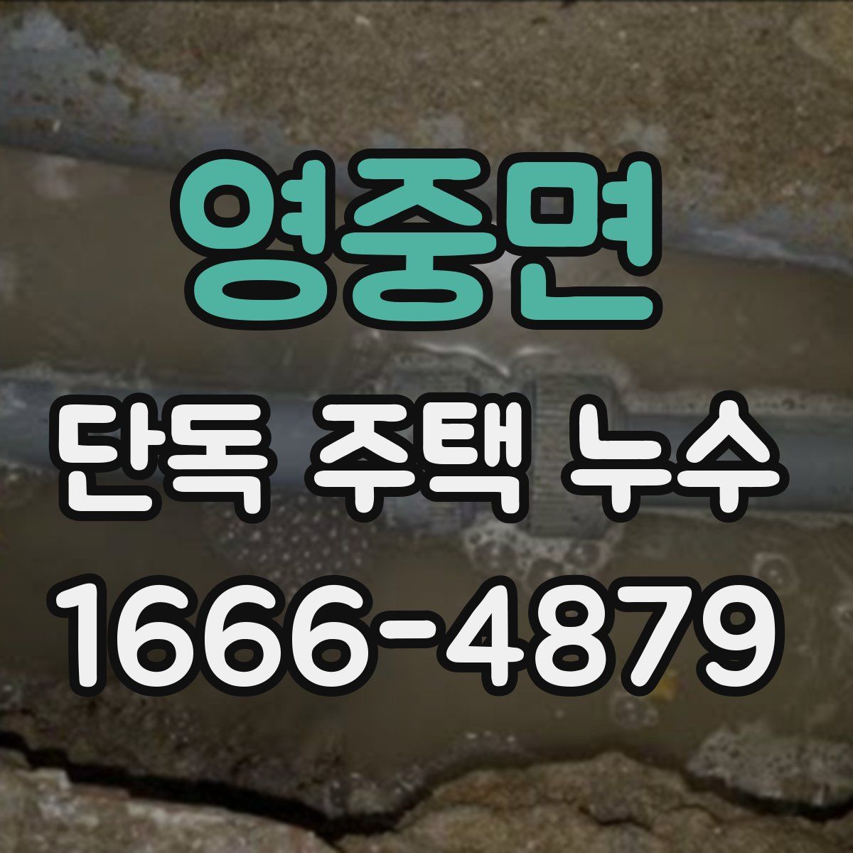 영중면 단독 주택 누수