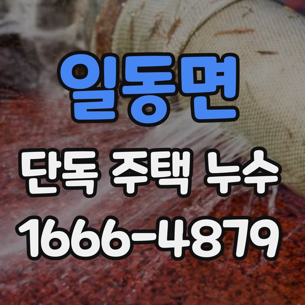 일동면 단독 주택 누수