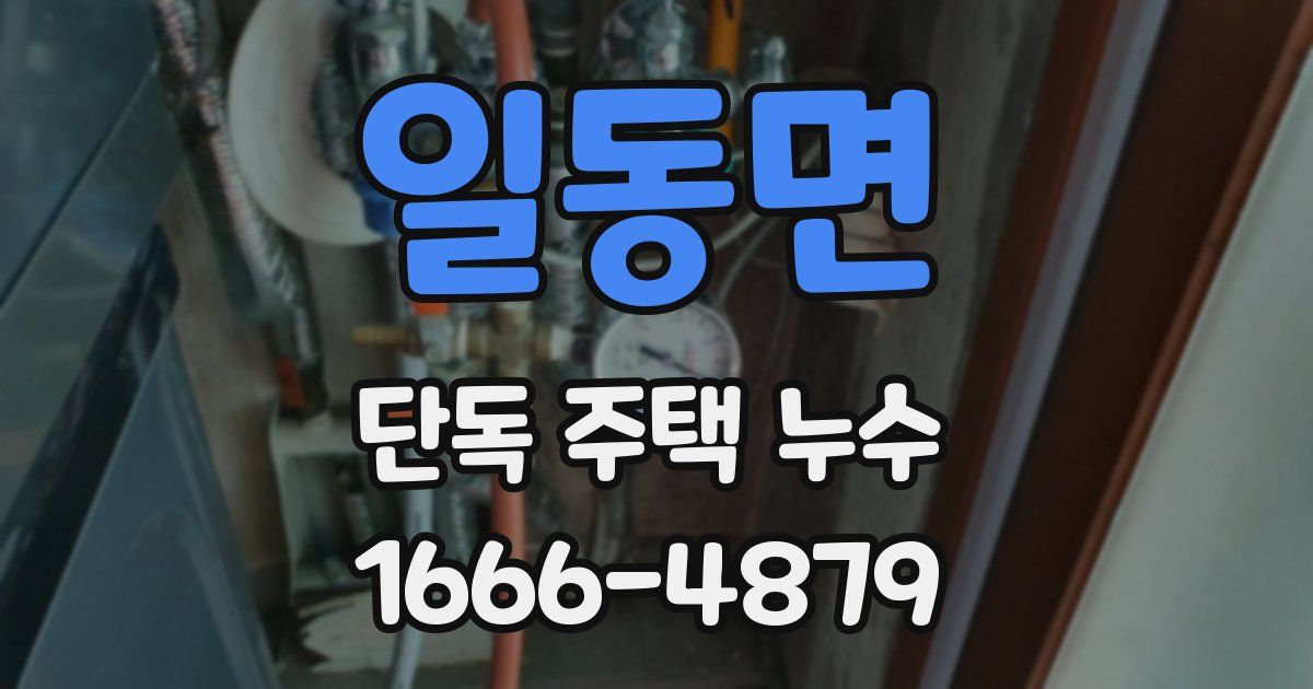 일동면 단독 주택 누수