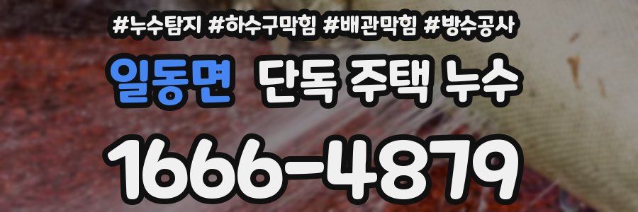 일동면 단독 주택 누수