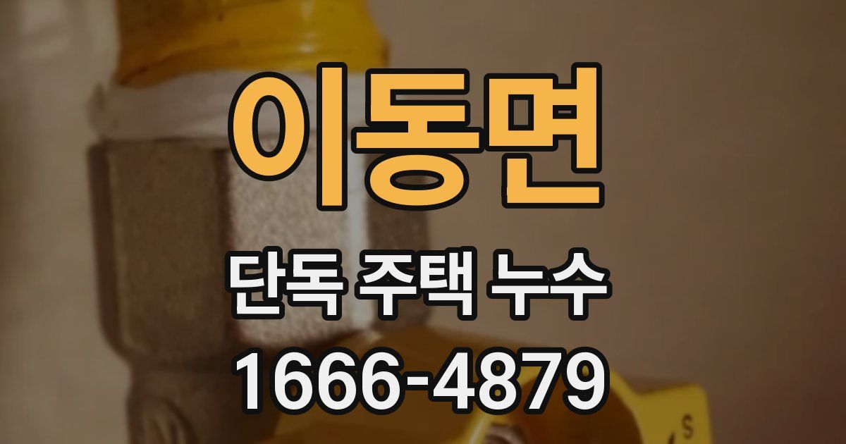 이동면 단독 주택 누수