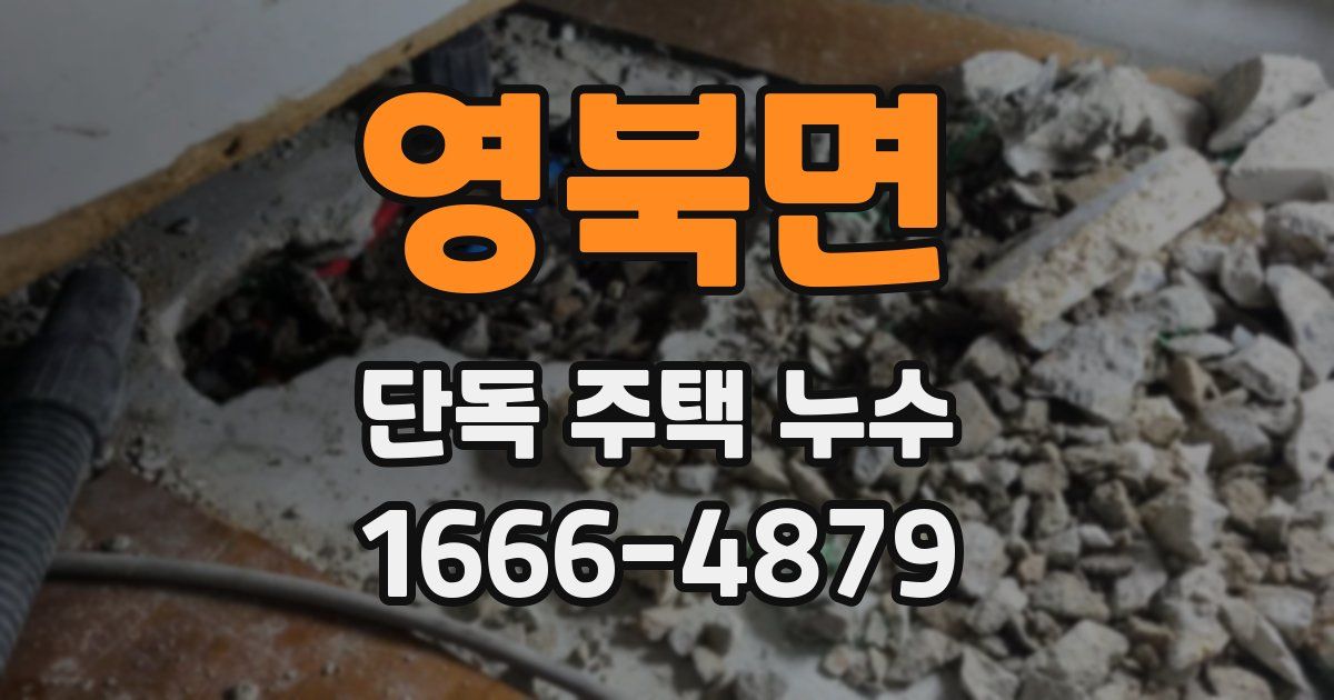 영북면 단독 주택 누수