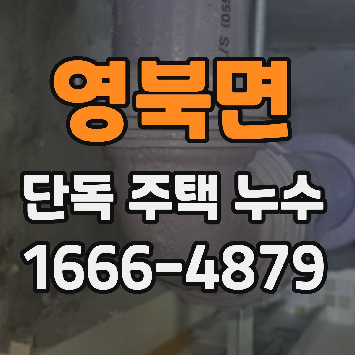 영북면 단독 주택 누수