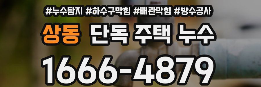 상동 단독 주택 누수