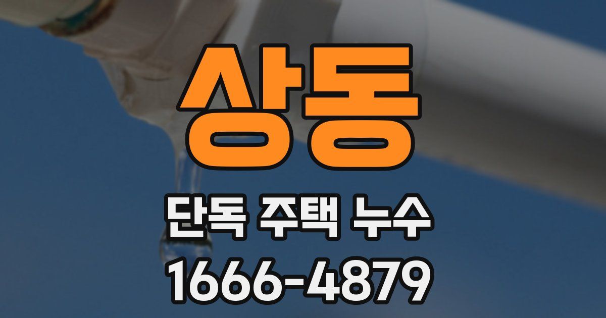 상동 단독 주택 누수