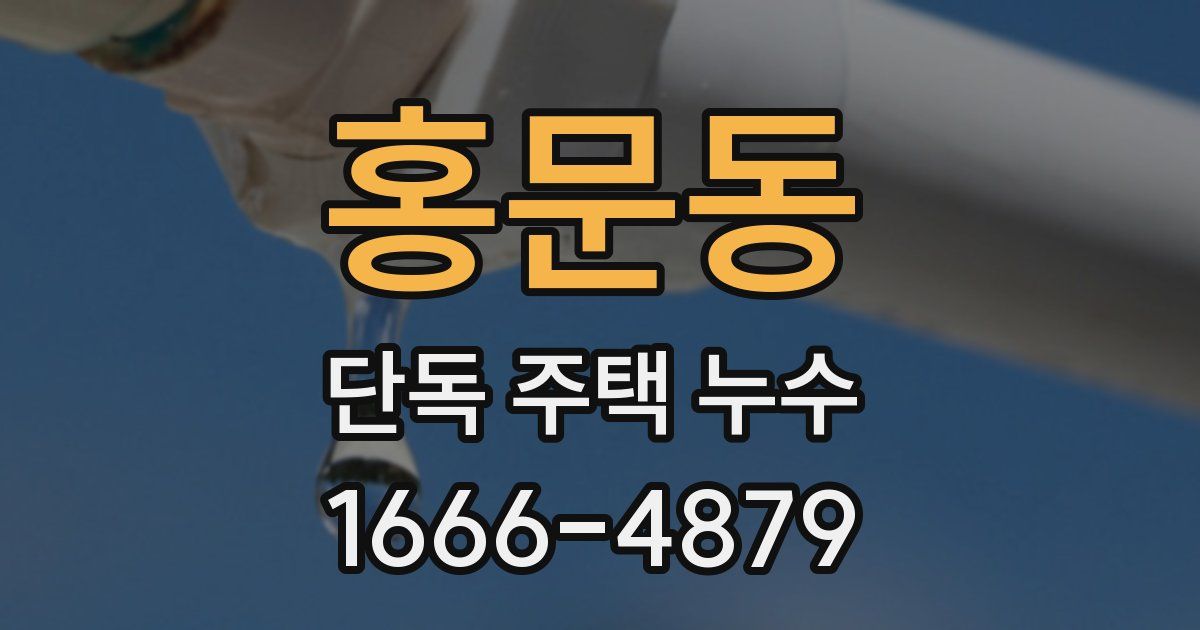 홍문동 단독 주택 누수