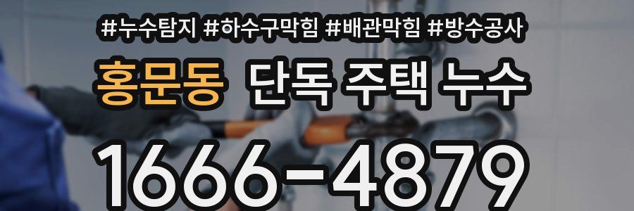 홍문동 단독 주택 누수