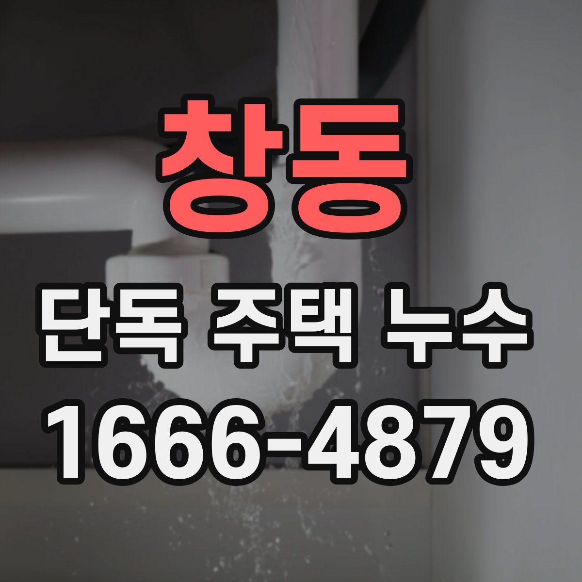 창동 단독 주택 누수