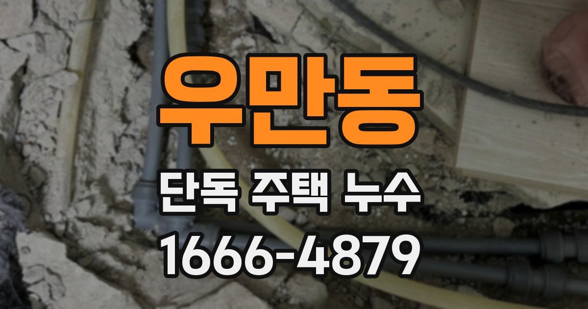 우만동 단독 주택 누수