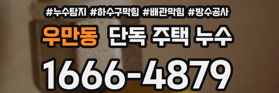 우만동 단독 주택 누수