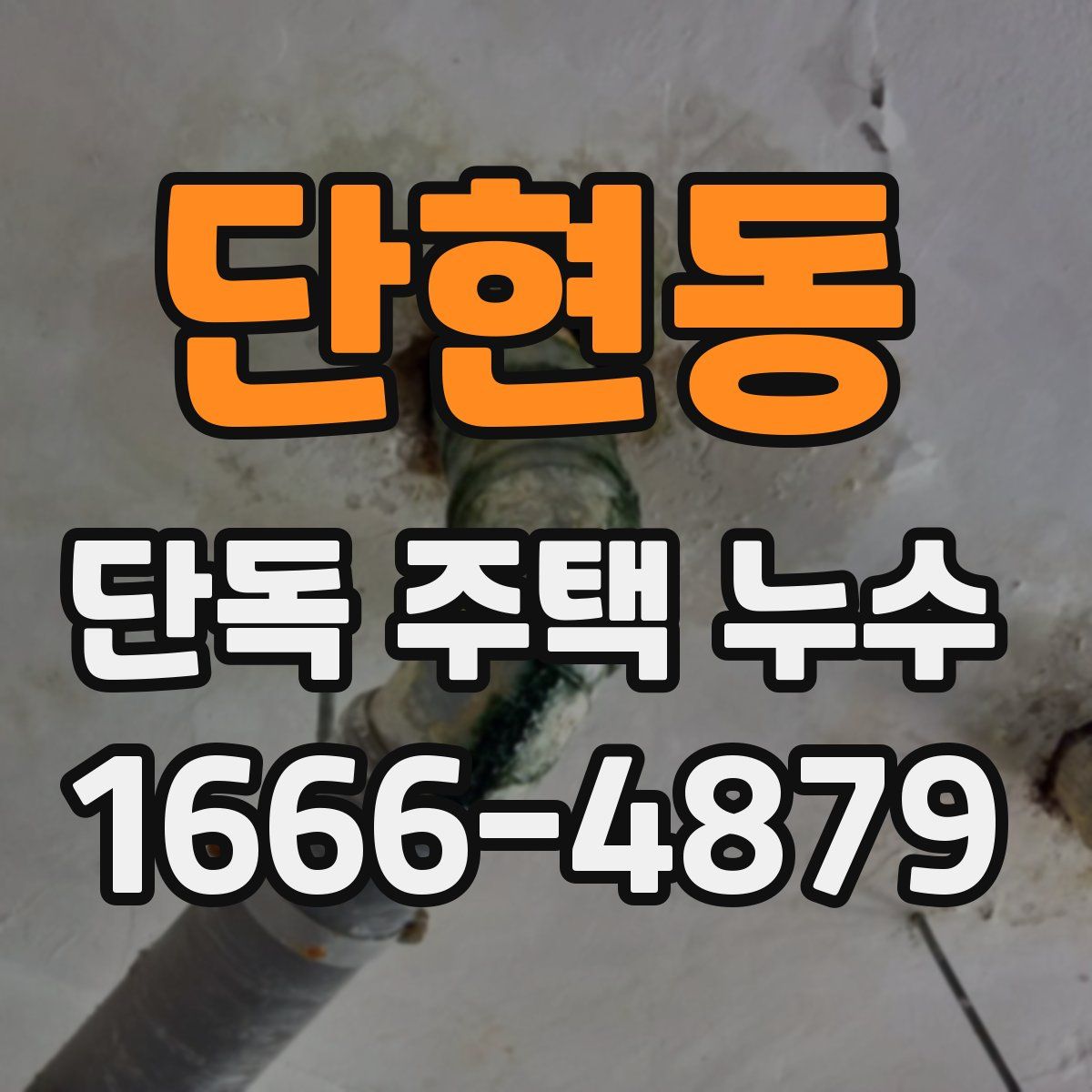 단현동 단독 주택 누수