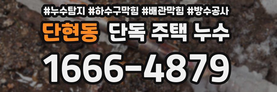 단현동 단독 주택 누수