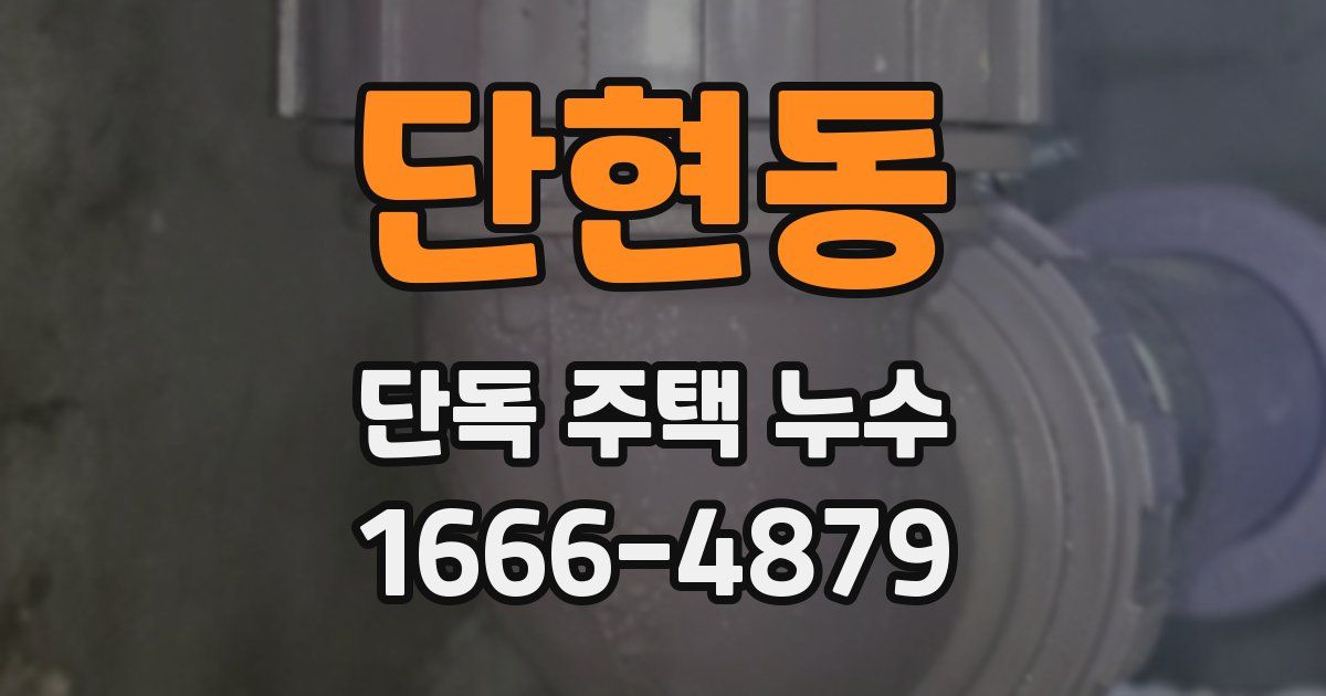 단현동 단독 주택 누수