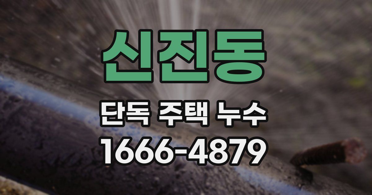 신진동 단독 주택 누수