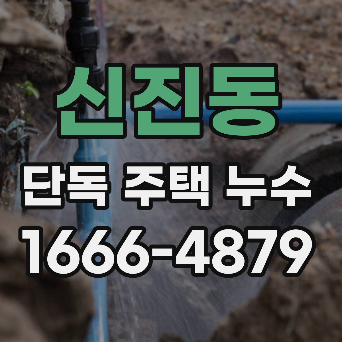 신진동 단독 주택 누수