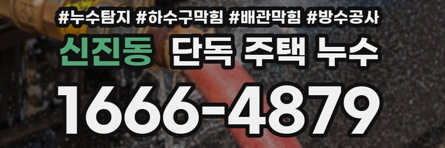 신진동 단독 주택 누수