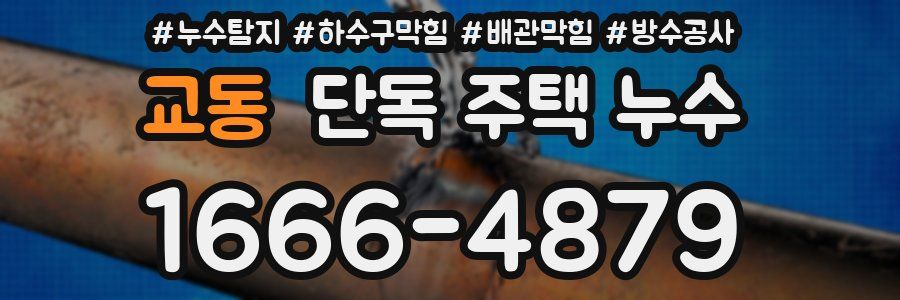 교동 단독 주택 누수