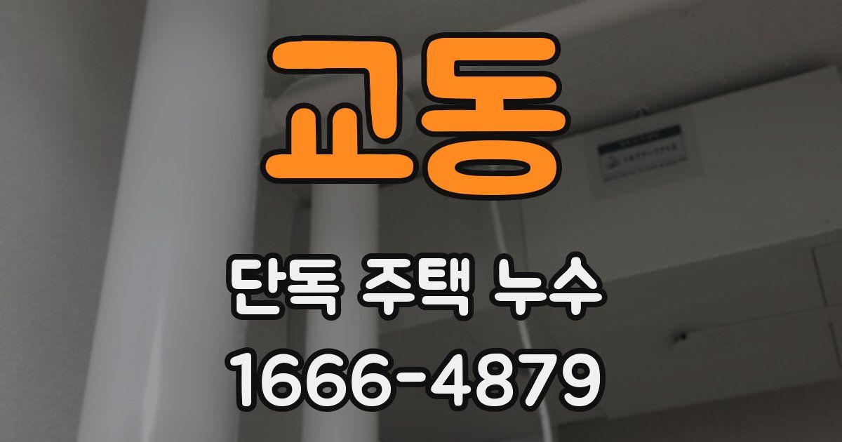 교동 단독 주택 누수