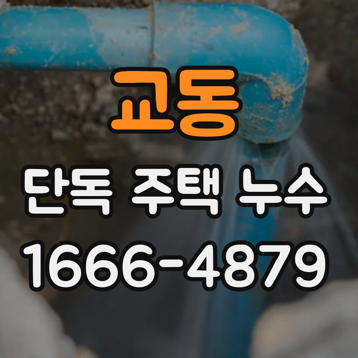 교동 단독 주택 누수