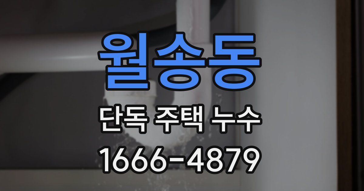 월송동 단독 주택 누수