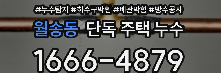 월송동 단독 주택 누수