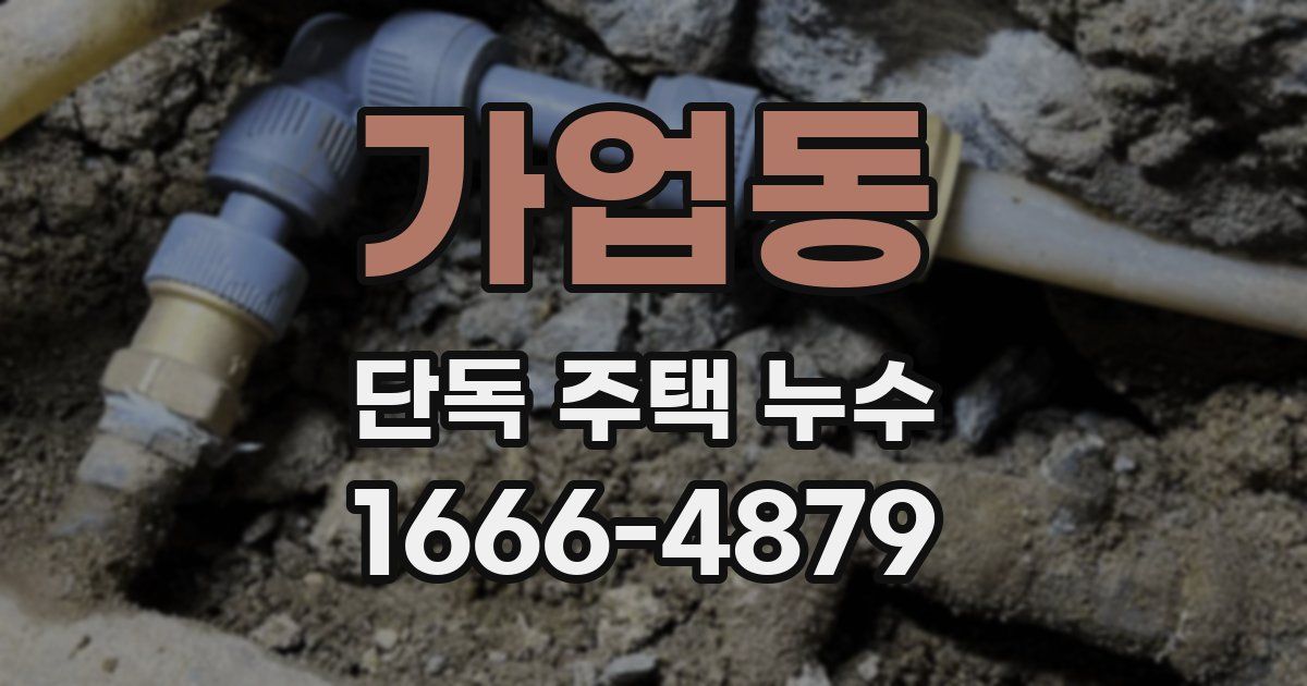 가업동 단독 주택 누수