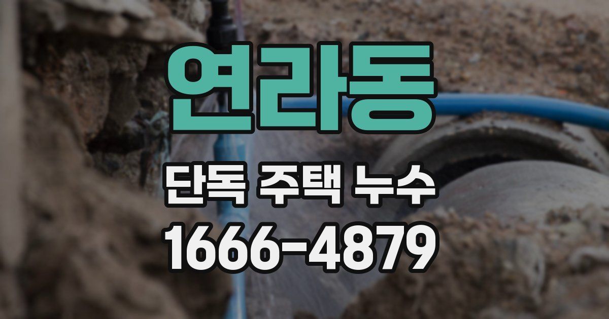 연라동 단독 주택 누수