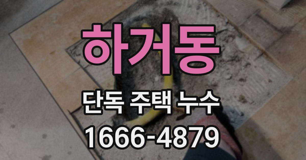 하거동 단독 주택 누수