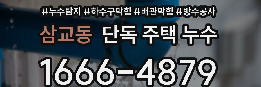 삼교동 단독 주택 누수
