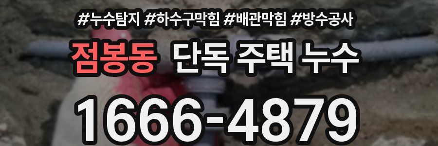 점봉동 단독 주택 누수