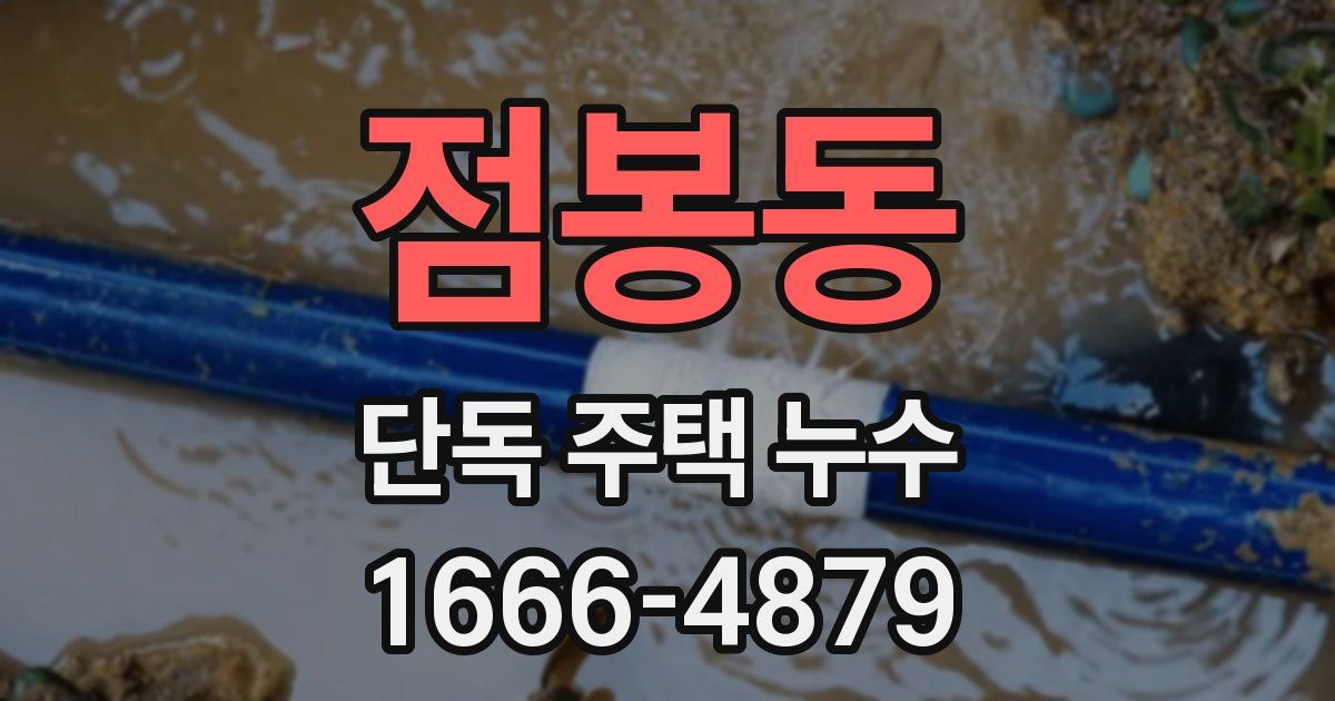 점봉동 단독 주택 누수